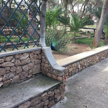 16 Porto Santo Apartments Zewnętrze zdjęcie