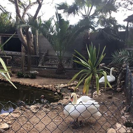 16 Porto Santo Apartments Zewnętrze zdjęcie