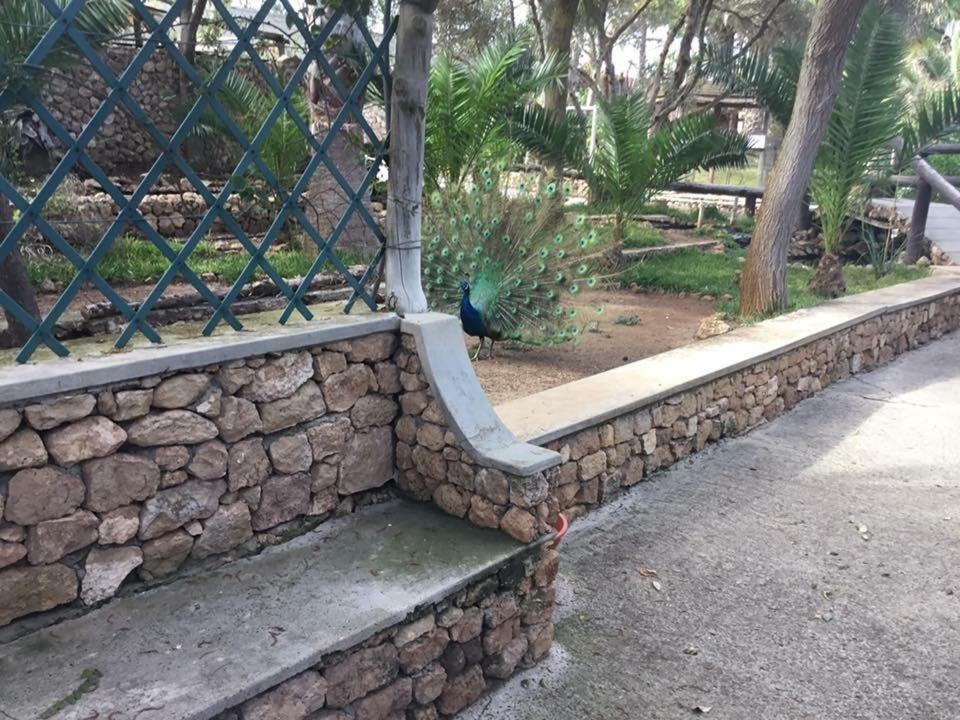 16 Porto Santo Apartments Zewnętrze zdjęcie